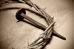 crown of thorns 5